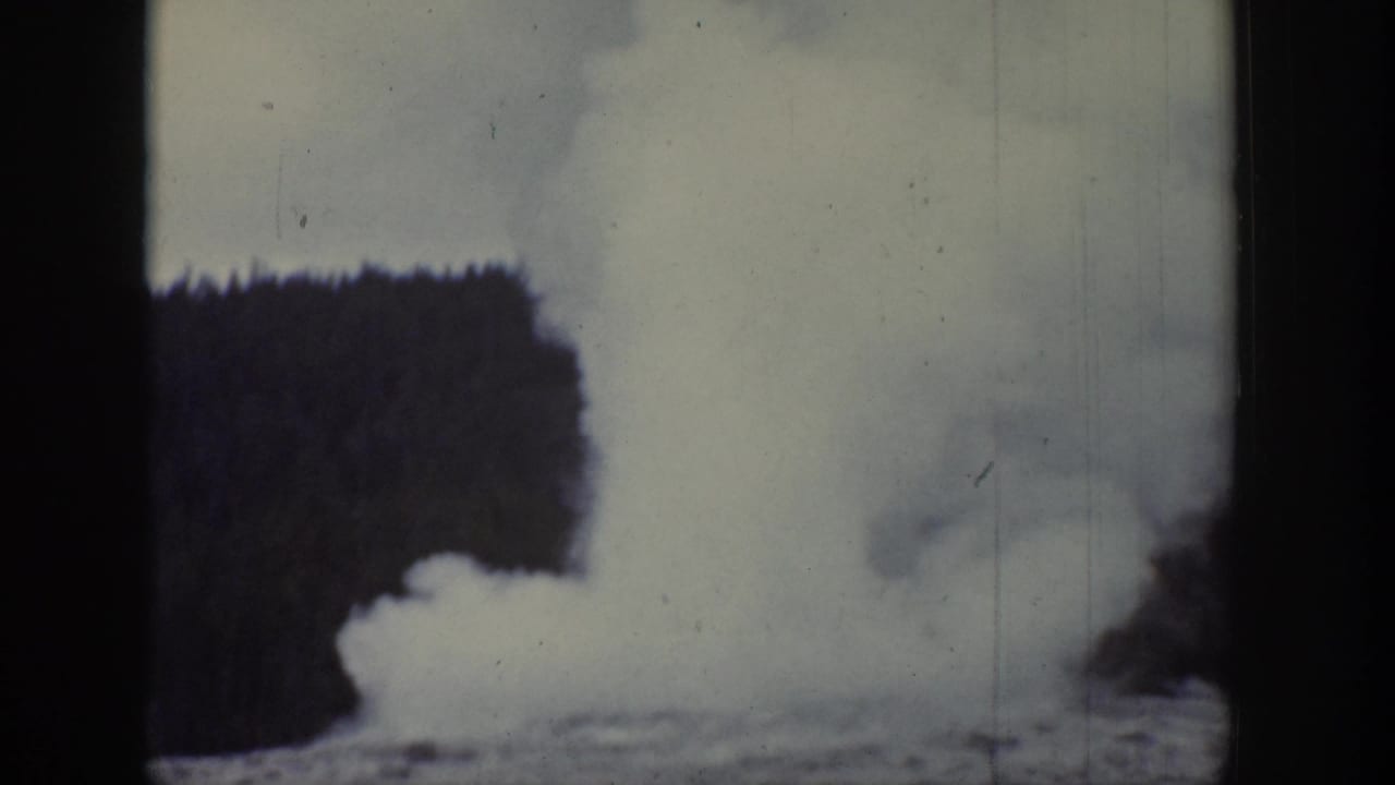 Tall column of steam rises high above a forested backdrop.