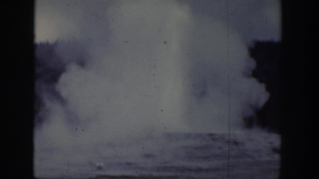 Large pale steam column fills the frame beside dark trees and shadowed frame edges.