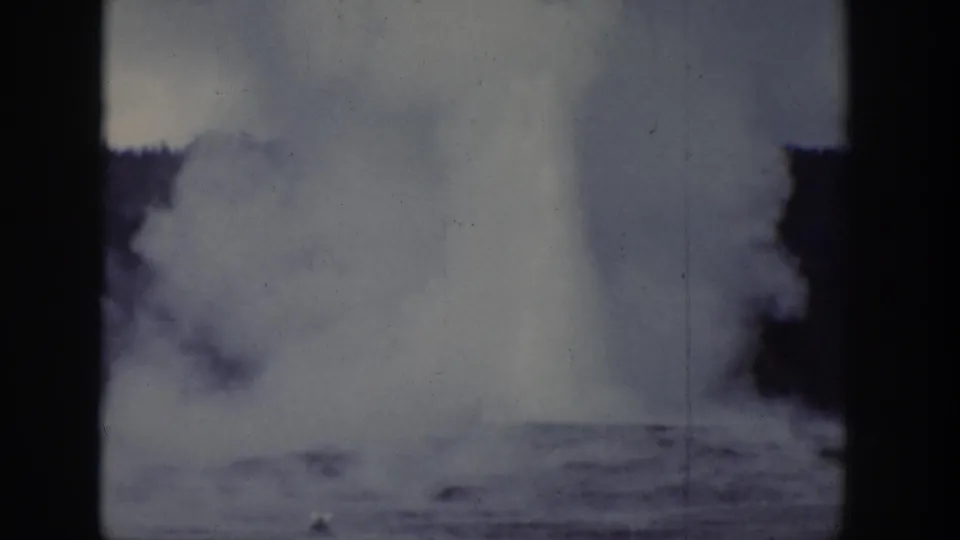 1939 Wyoming home-movie frame of a geyser plume spreading mist across a low landscape near trees.
