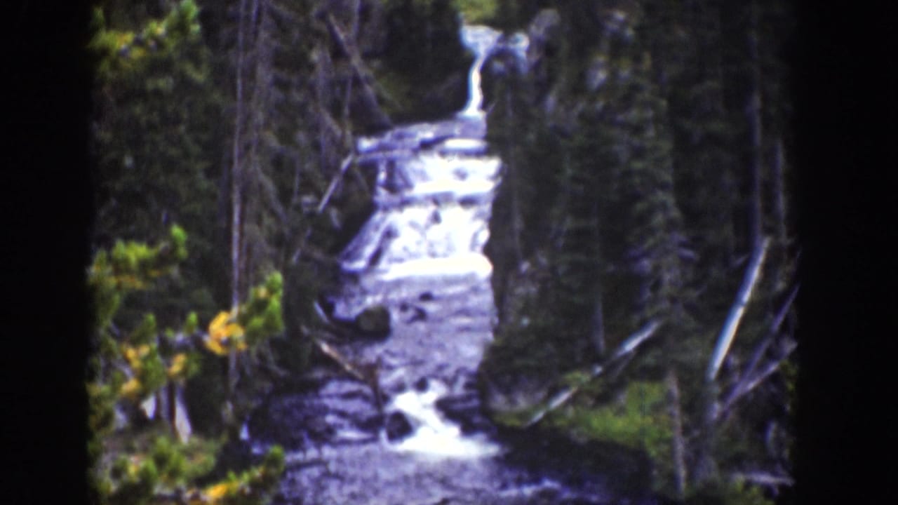 1939 Wyoming 8mm frame of a stream dropping through evergreen woods, with bright white water and dark rocks visible between trees.