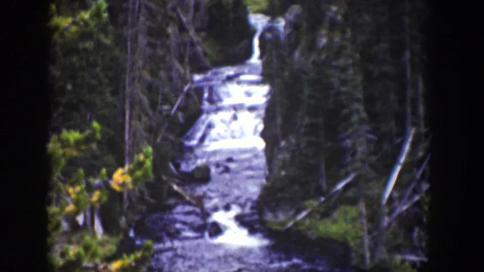 1939 Wyoming 8mm frame of a stream dropping through evergreen woods, with bright white water and dark rocks visible between trees.