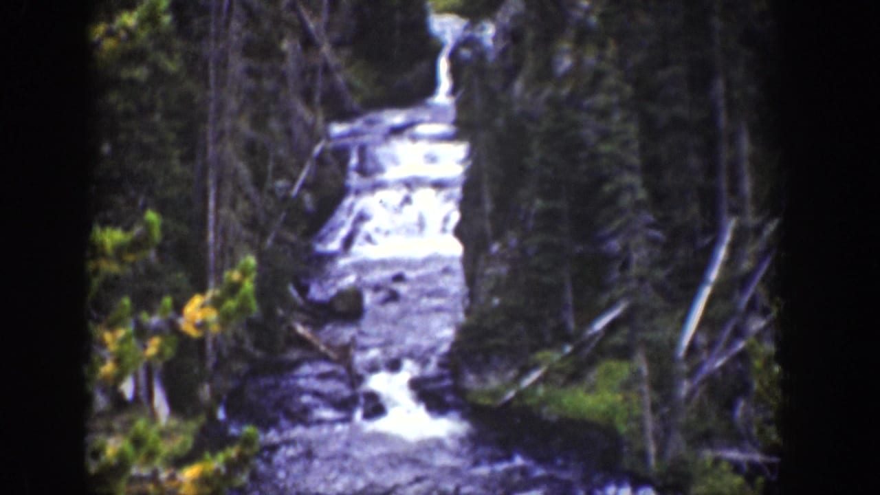 1939 Wyoming home-movie frame showing white water descending through a wooded stream channel bordered by evergreens and branches.
