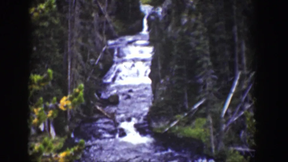 1939 Wyoming home-movie frame showing white water descending through a wooded stream channel bordered by evergreens and branches.