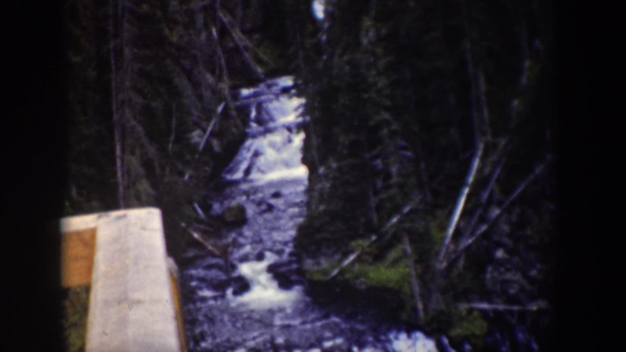 1939 Wyoming 8mm frame of a narrow forest stream winding through trees, seen beside a pale structural edge.