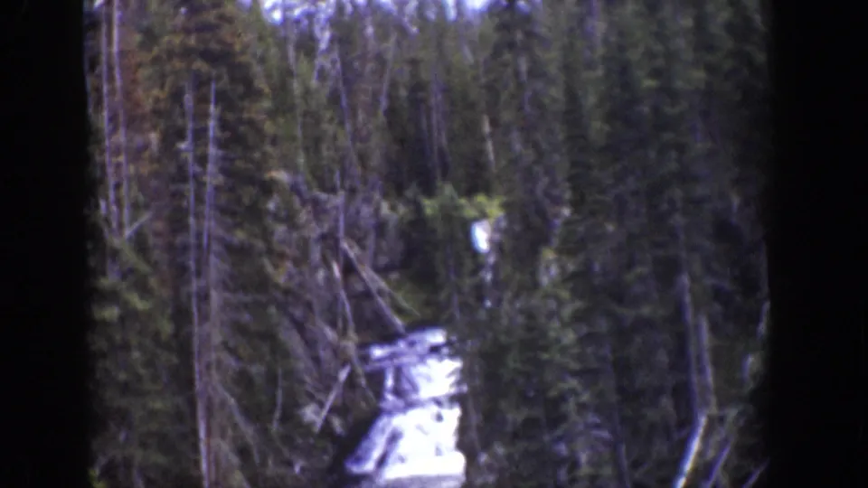 1939 Wyoming 8mm frame looking across trees toward bright stream water in a wooded valley.