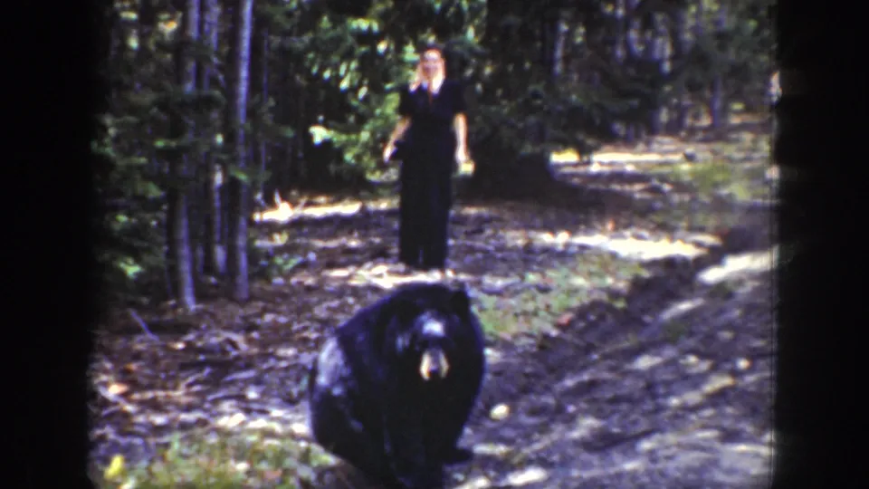 1939 Wyoming 8mm frame showing an adult standing on a wooded road behind a black bear in the foreground.