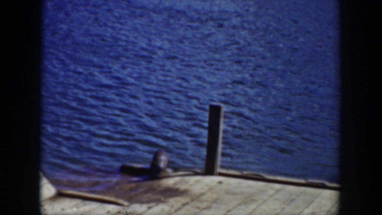 The small seal appears closer to a vertical dock post, with blue rippling water filling the background in the 1939 Wyoming clip.