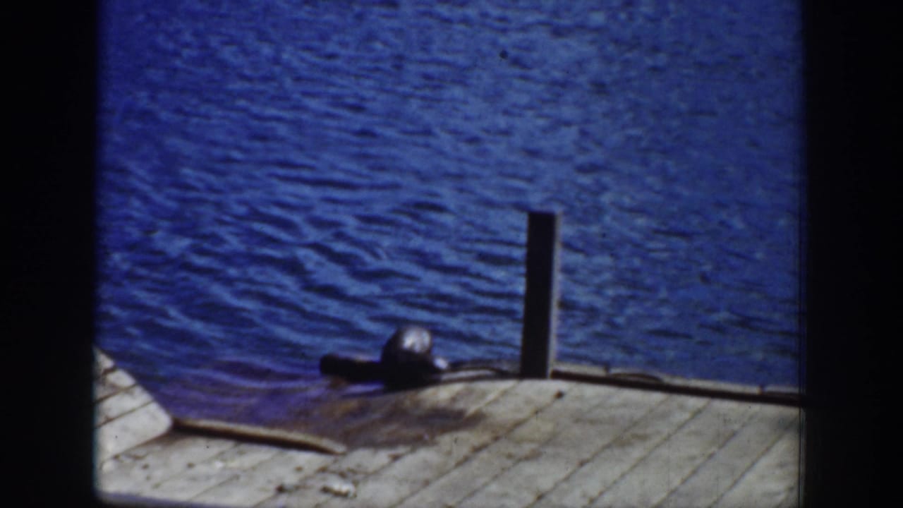 1939 Wyoming 8mm frame showing a sea lion resting near a wooden pier edge with blue water behind it.