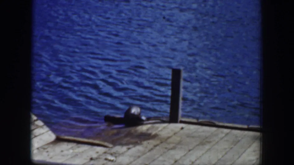 1939 Wyoming 8mm frame showing a sea lion resting near a wooden pier edge with blue water behind it.