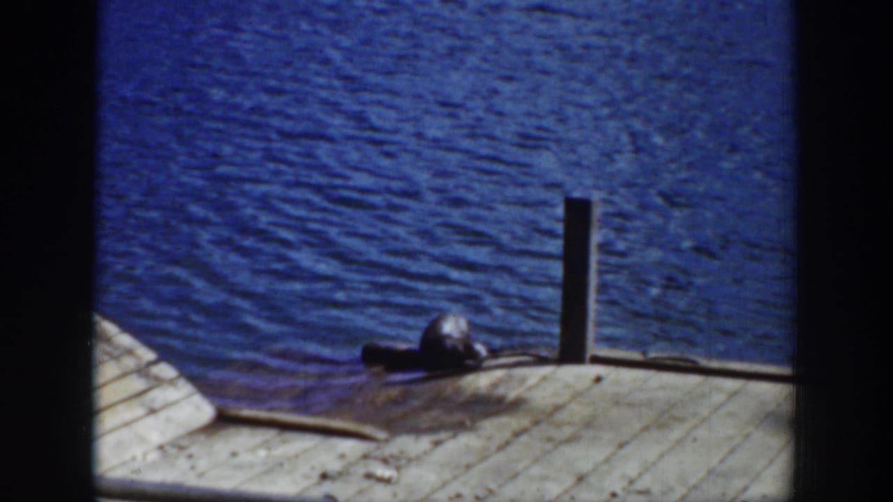 1939 Wyoming home-movie frame with a sea lion lying beside a vertical pier post against rippling blue water.