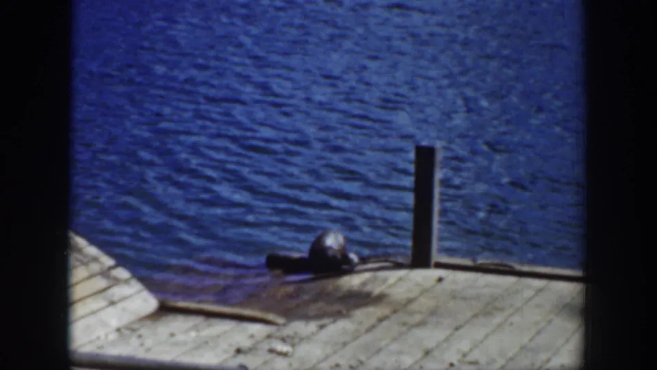 1939 Wyoming home-movie frame with a sea lion lying beside a vertical pier post against rippling blue water.