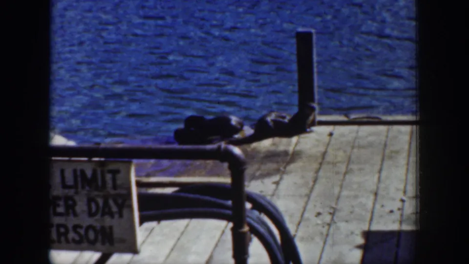 1939 Wyoming home-movie frame showing two sea lions on a wooden pier with a partial visitor sign and rail in front.