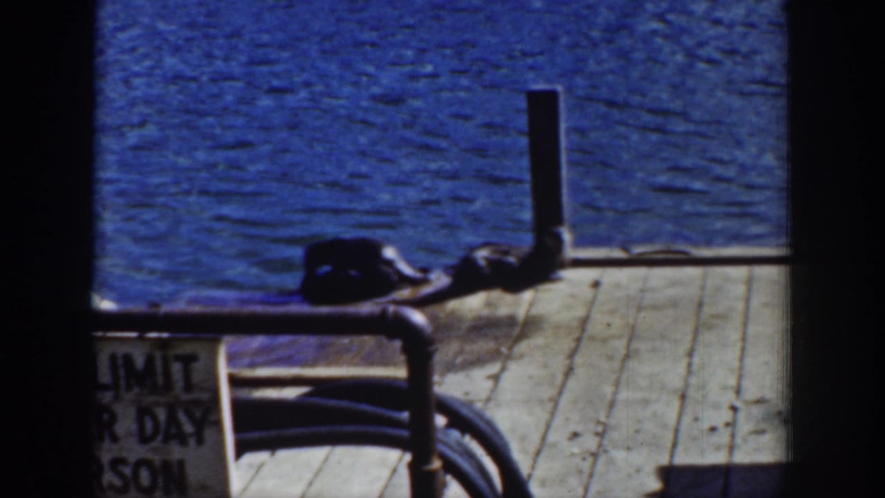 1939 Wyoming 8mm frame showing young otters on a sunlit wooden dock beside rippling blue water, partly framed by a rail and sign.
