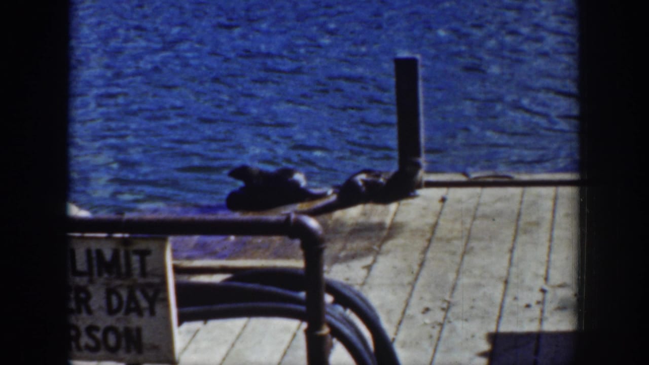 1939 Wyoming 8mm frame with young otters stretched along a wooden dock edge, blue lake water behind, and a dark foreground frame.