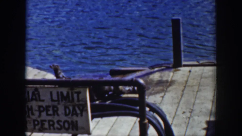 1939 home-movie frame with a sea lion partly visible by the pier edge, blue water, railing, and partial limit sign.