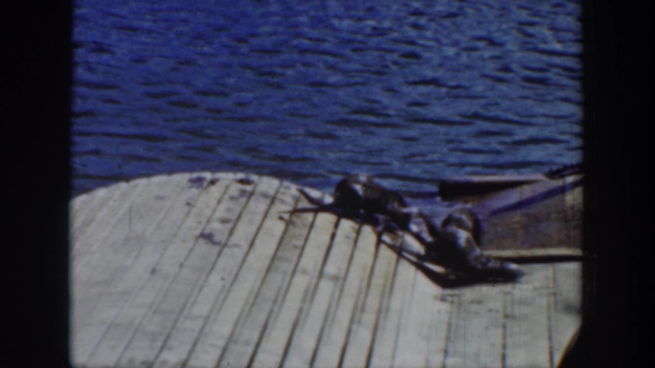 Two otters crawl across a pale wooden dock beside blue lake water in 1939 Wyoming home-movie footage.