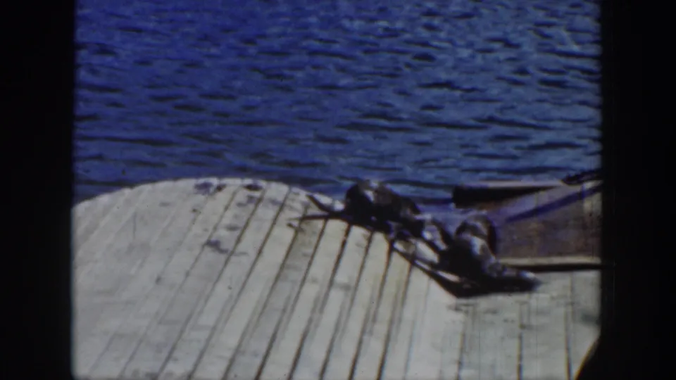 Two otters crawl across a pale wooden dock beside blue lake water in 1939 Wyoming home-movie footage.