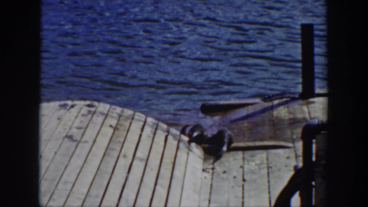 An otter lies or crawls on a dock near water and a vertical post.