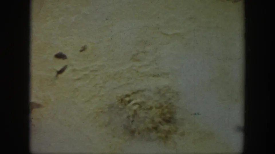 Faded 8mm view of a pale Wyoming geothermal surface with a small bubbling or crusted mineral patch.