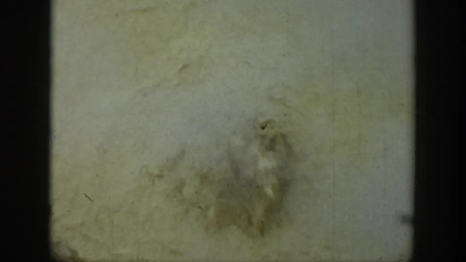 Faded 8mm Wyoming geothermal view with a soft bubbling patch, pale mineral ground, scratches, and dark frame borders.