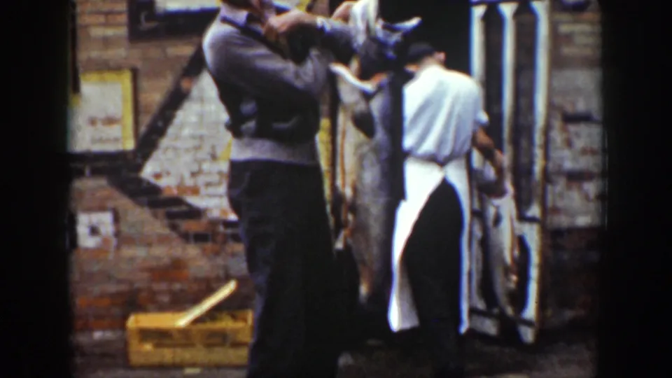 Closer 1939 Wyoming home-movie view of men handling large fish, with a white-aproned figure and brick wall behind them.