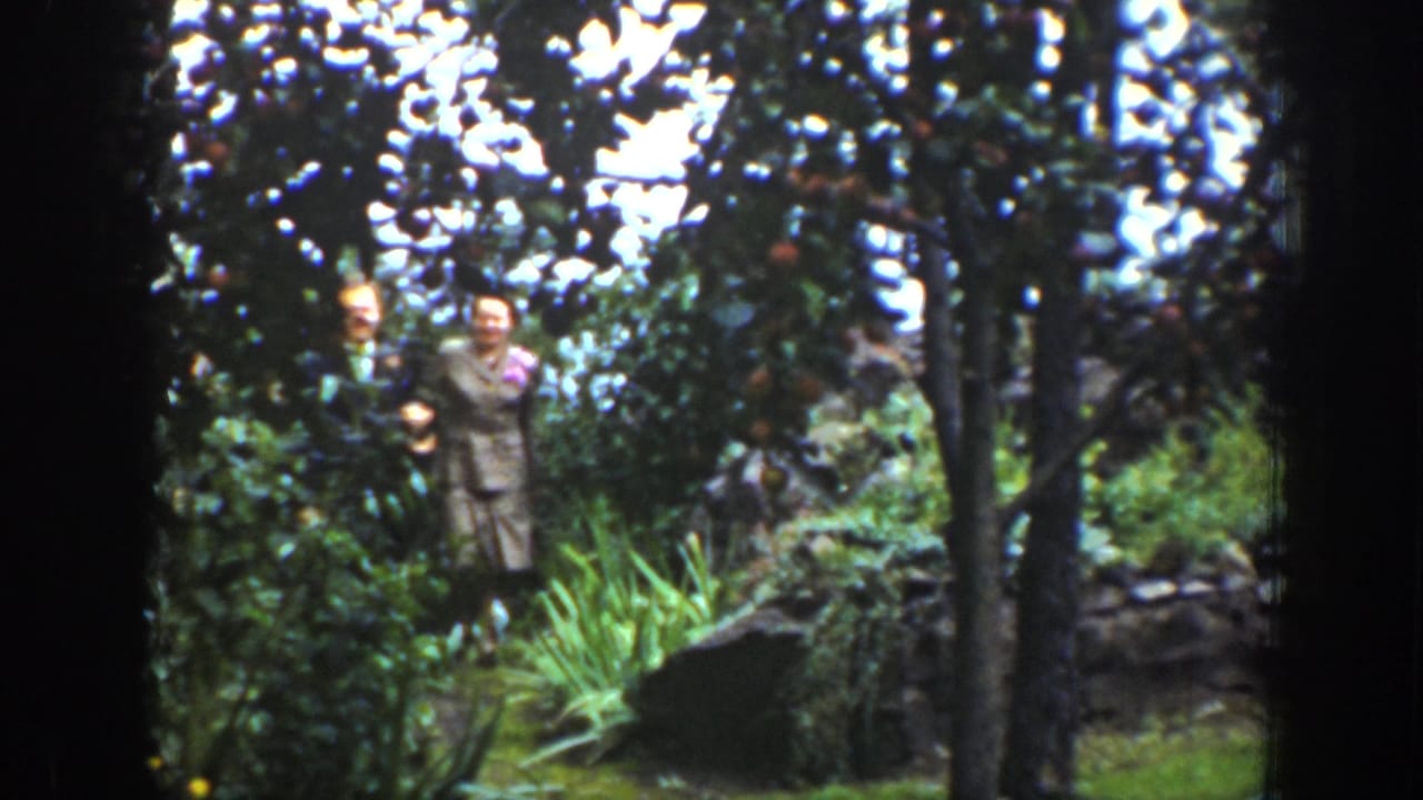 A suited couple stands among trees with greenery and rocks around them.