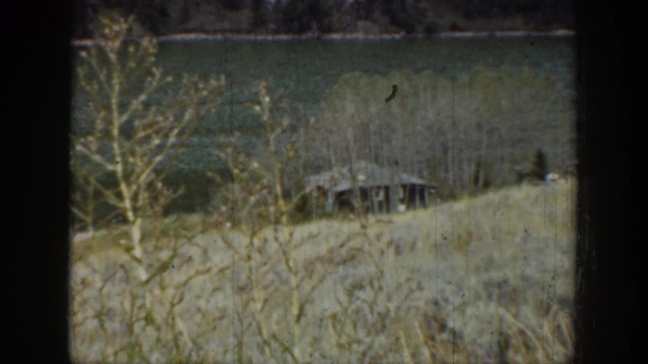 Lakeside grassland in Wyoming, 1939, with pale bare trees, a small wooden hut, and dark water behind the slope.