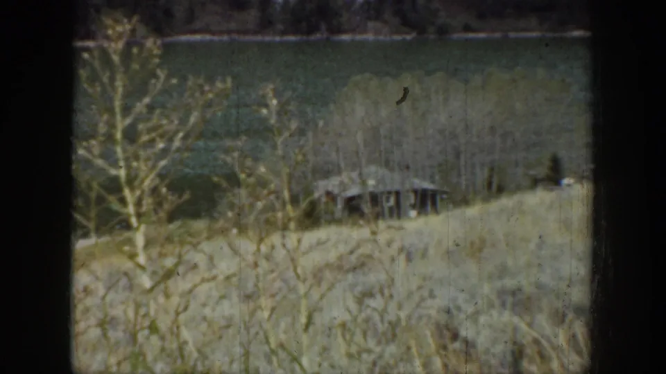 Lakeside grassland in Wyoming, 1939, with pale bare trees, a small wooden hut, and dark water behind the slope.