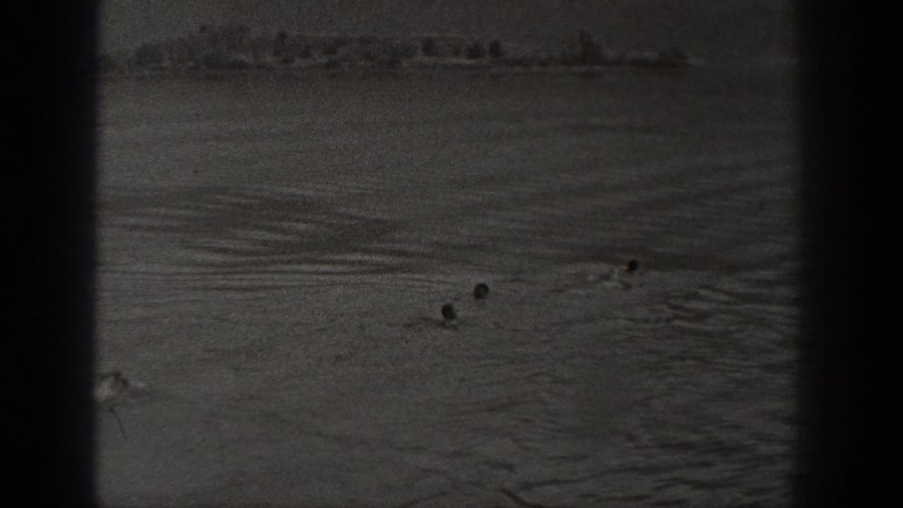 Distant people in rippled water with a low shoreline beyond.
