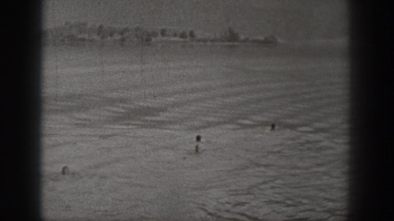 Open water with several distant heads and a faint shoreline.