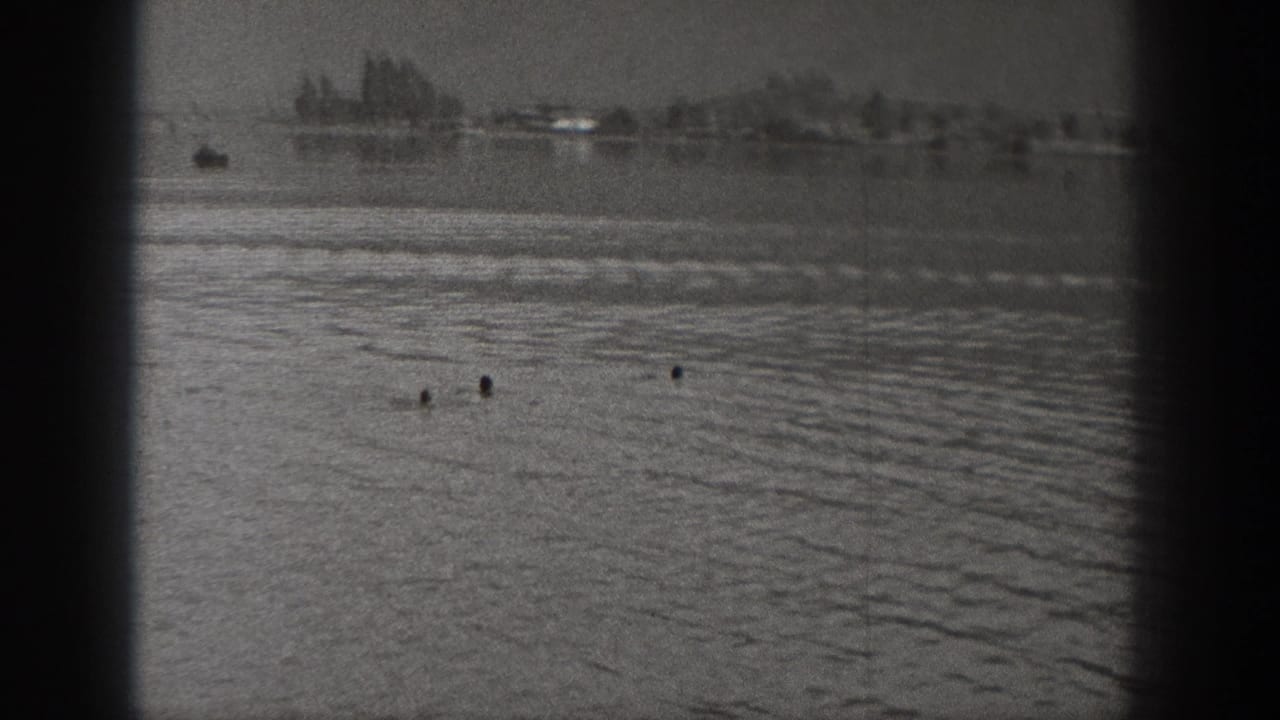 1940 Washington home-movie frame showing a distant swimmer in a lake, with rippled water, shoreline trees, and dark vertical posts in front.
