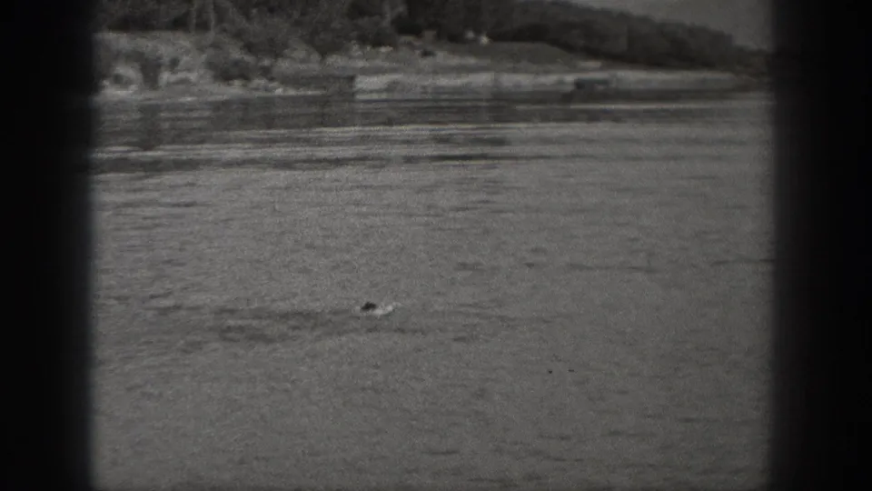 Black-and-white 8mm frame from Washington showing a swimmer in open lake water, with a wooded shore and low structures in the distance.