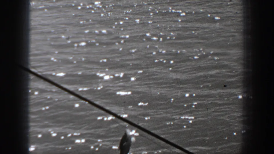 Black-and-white 8mm view of a fishing line and small catch over sunlit water in the Washington coastal footage.