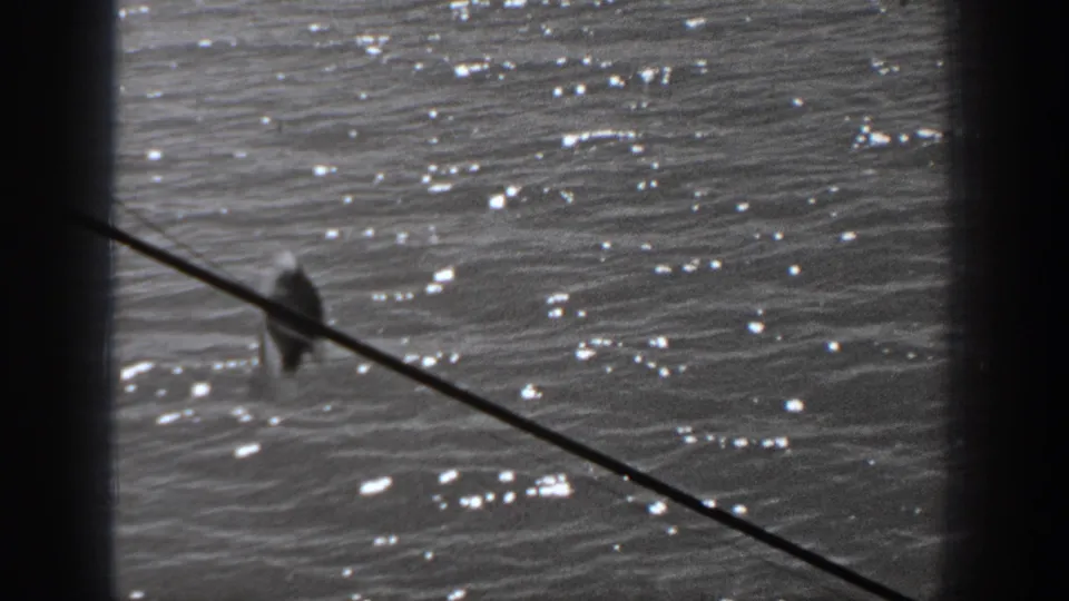 Washington 1940 8mm frame showing a line angled across reflective water with a small dangling catch.