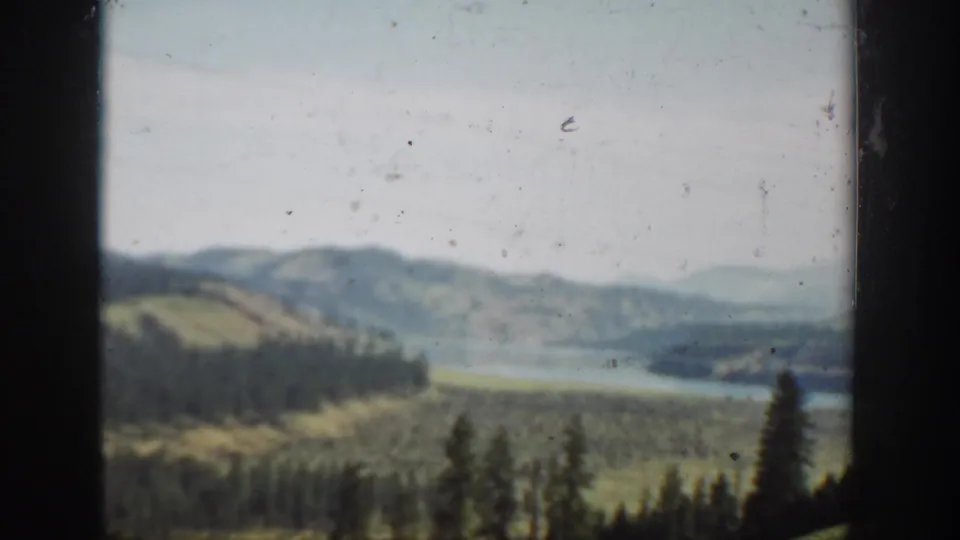 Soft color 8mm view of a wooded Washington landscape with hills, water, and foreground trees, likely from the same 1940 travel reel.