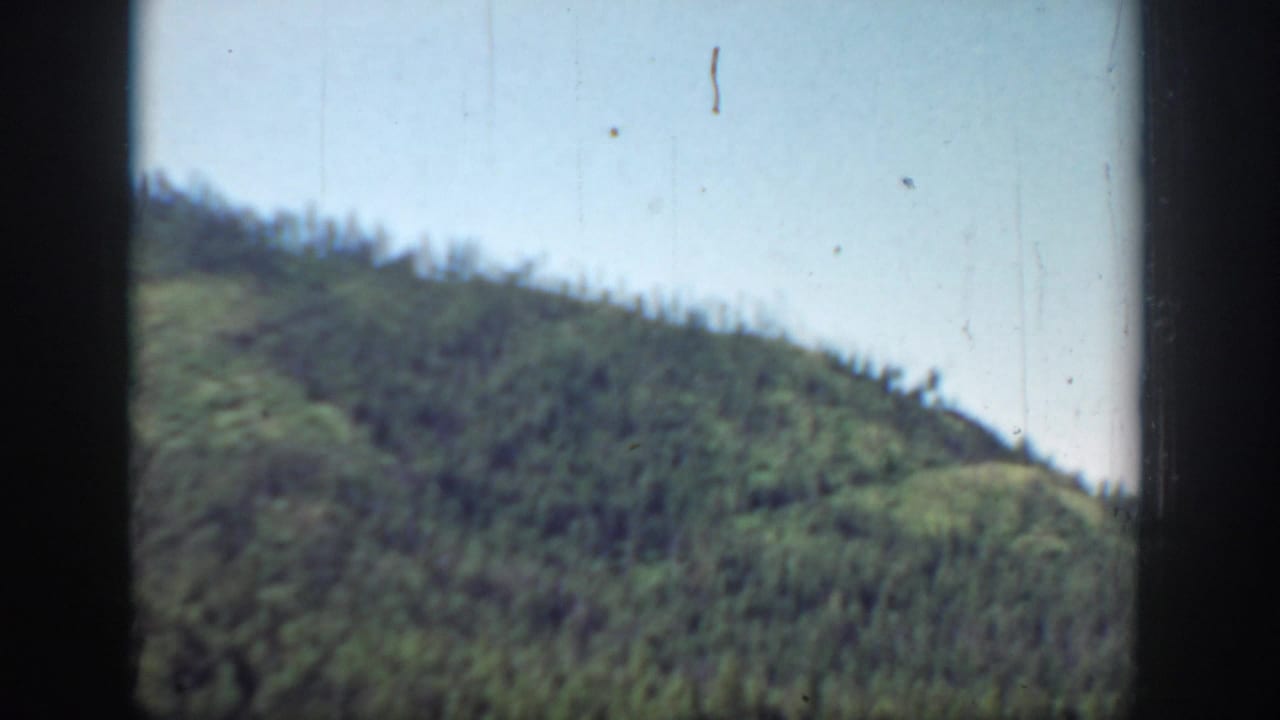 1940 Washington home-movie frame showing a green, forested mountainside from a moving outdoor viewpoint.