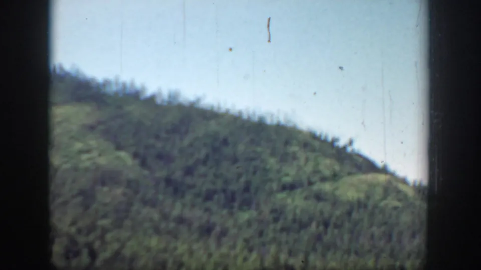 1940 Washington home-movie frame showing a green, forested mountainside from a moving outdoor viewpoint.