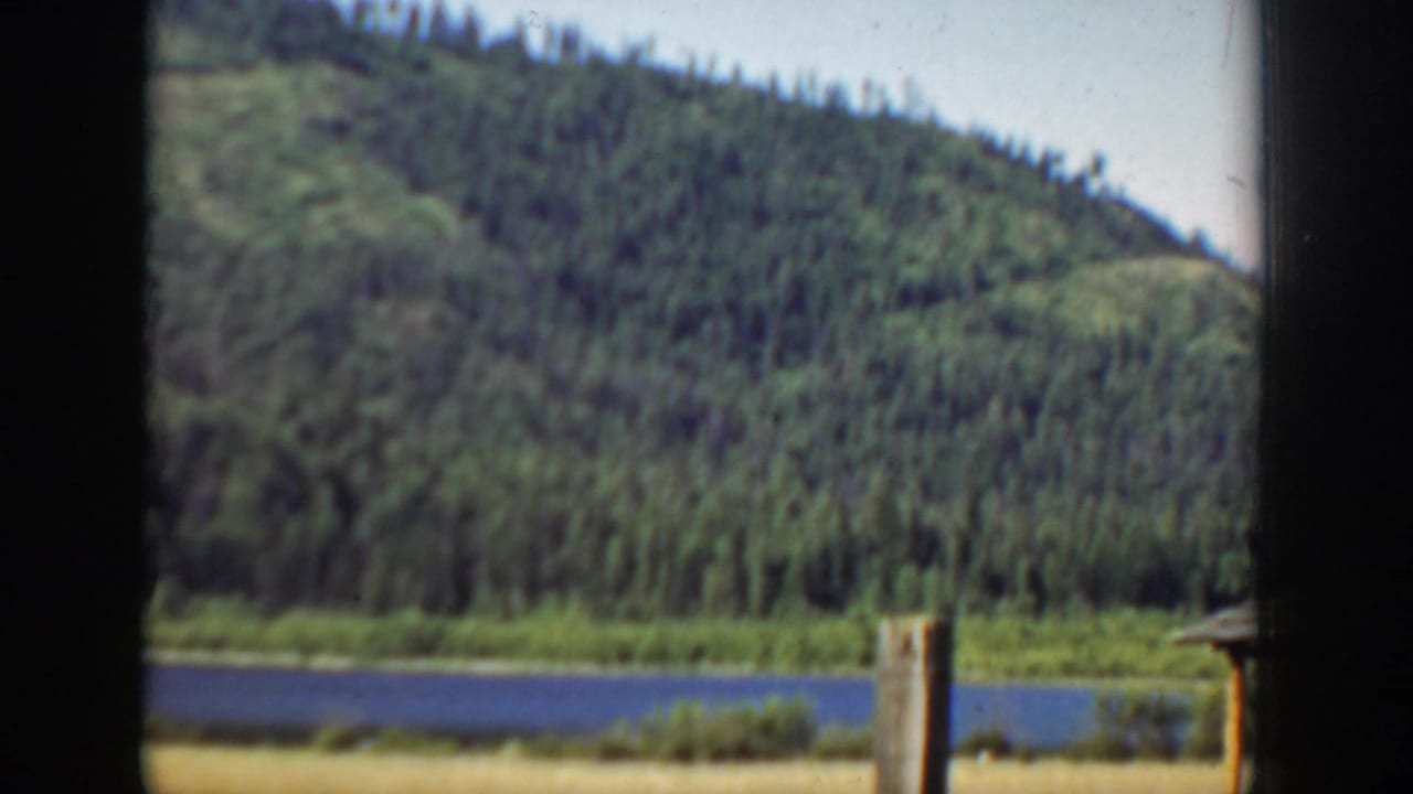 Mountain lake seen below a forested hillside, with posts near the foreground edge.