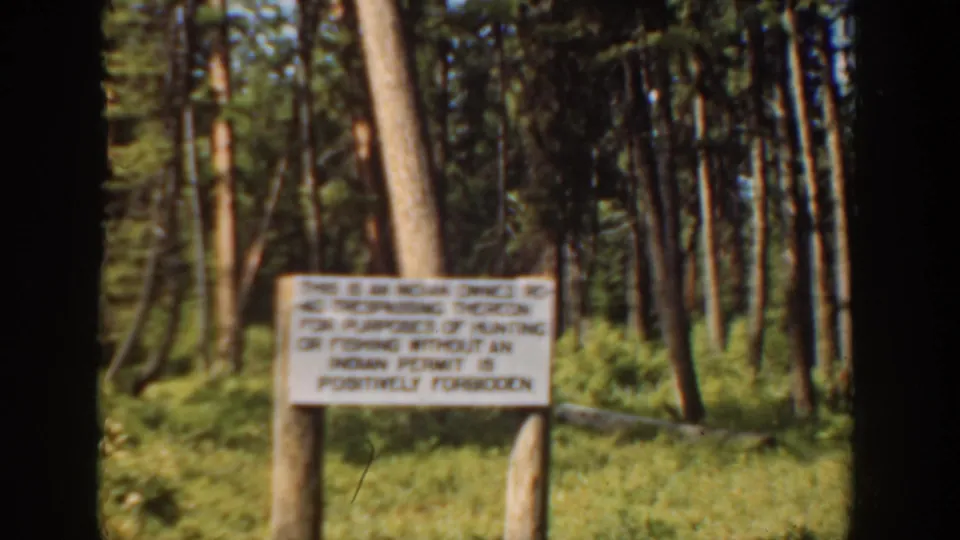 1940 Washington home-movie frame of a posted land-use warning sign standing among pine trees and undergrowth.