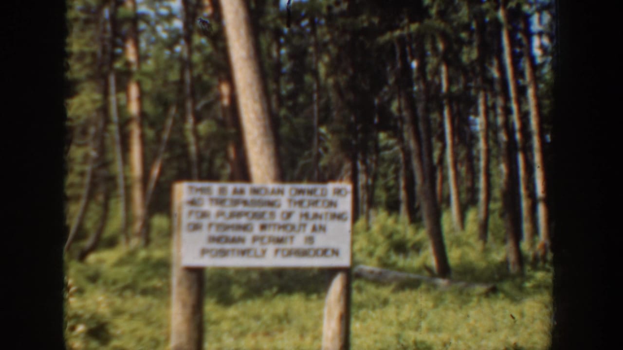 White roadside notice on wooden posts beside a dense conifer forest.