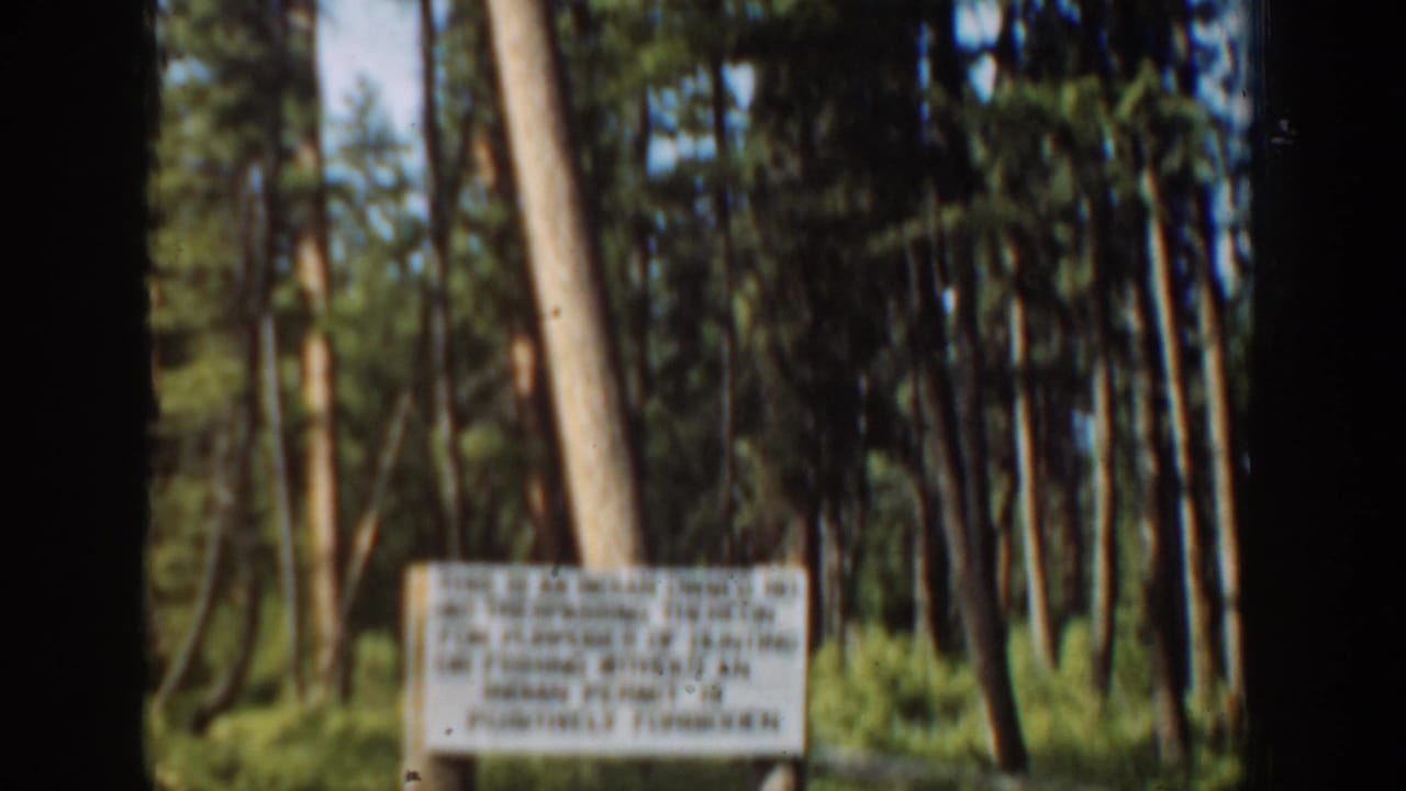 Posted sign among trees, partially soft and framed by dark film borders.