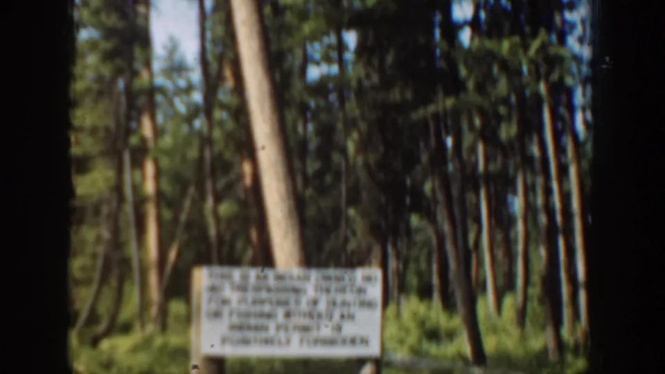 Soft 8mm view of a posted road notice in a Washington forest, with conifers and brush behind it.