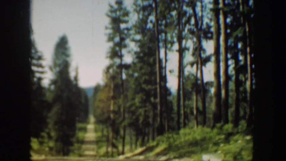 1940 Washington 8mm frame showing a narrow road receding through evergreen forest with brush and low hills beyond.