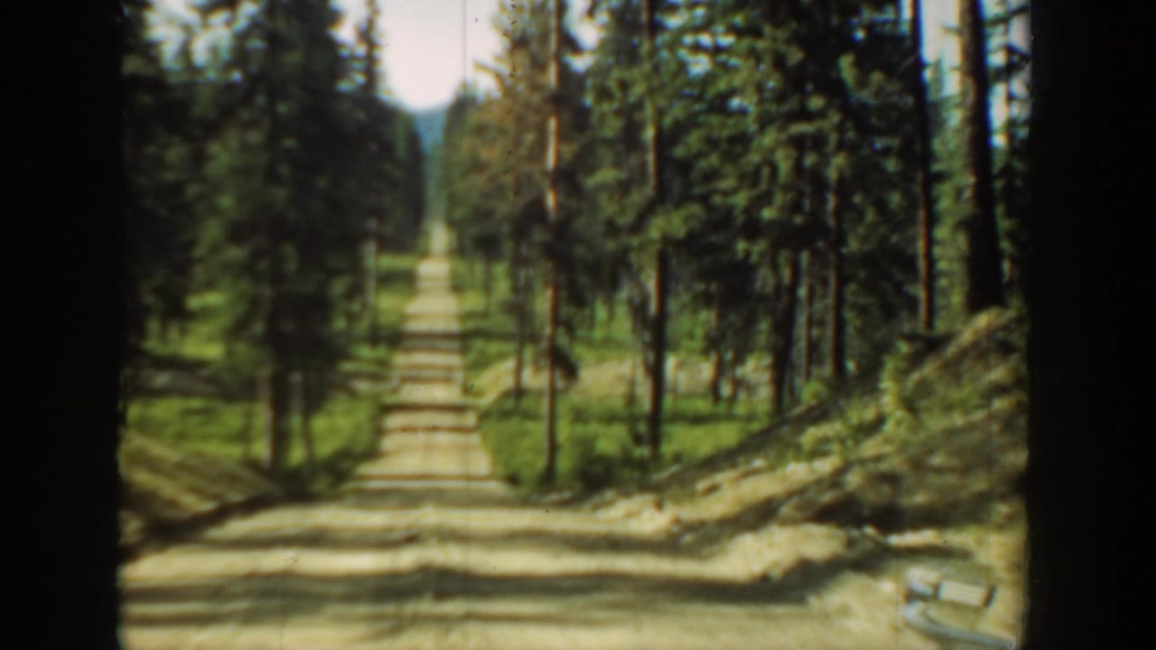 Straight dirt road through evergreen woods with dark window framing.