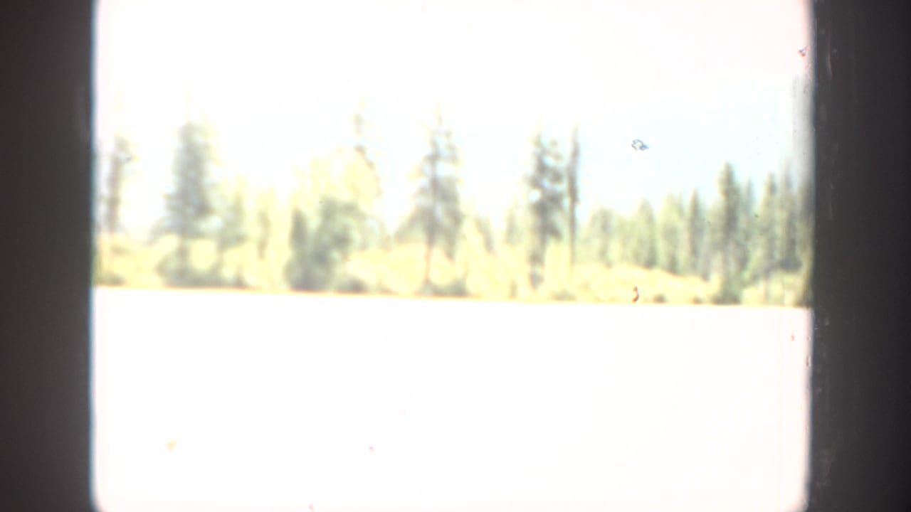 Bright overexposed lake view with evergreen trees along the far shore.