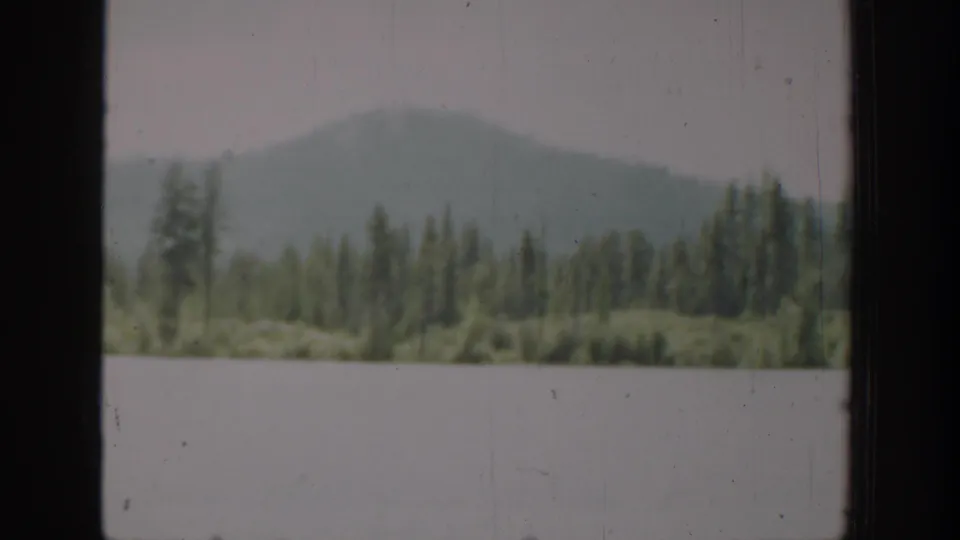 Soft 8mm landscape frame showing lake water, dense evergreens, and a distant hill in Washington footage.