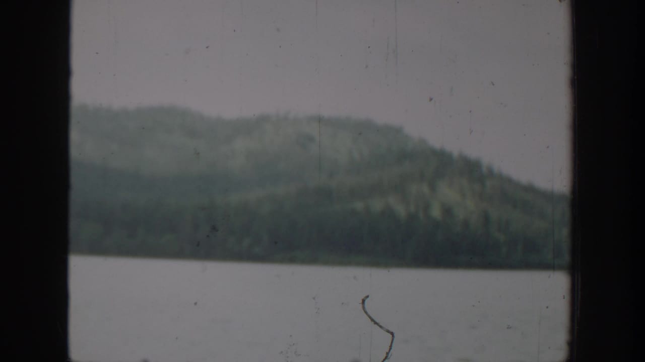 Forested hillside across a lake, divided by a dark window mullion.