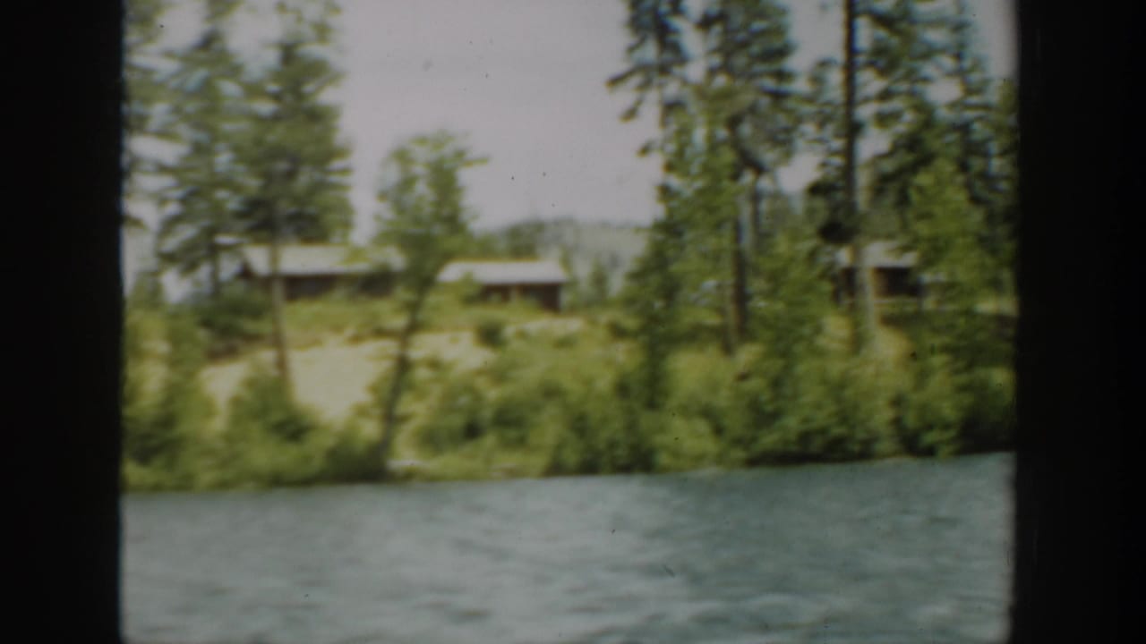 Cabins and tall evergreens along a bright lakeshore.
