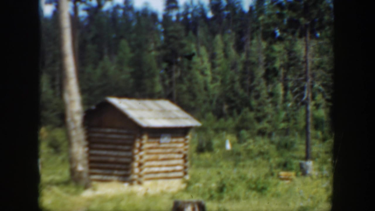 Rustic log structure near a tree trunk with forest and flagpole behind it.