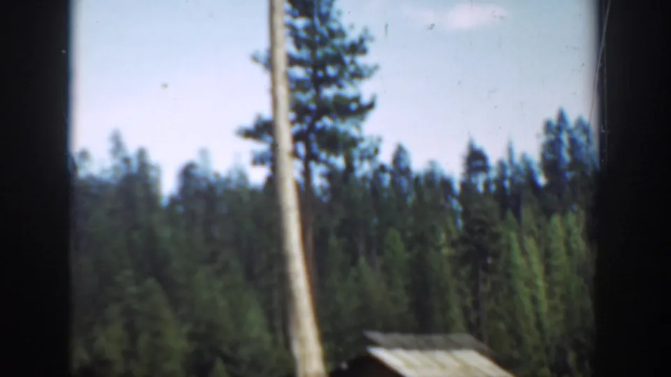 1940s Washington 8mm frame looking upward across conifers, a tall pale trunk, and the roofline of a small log structure.